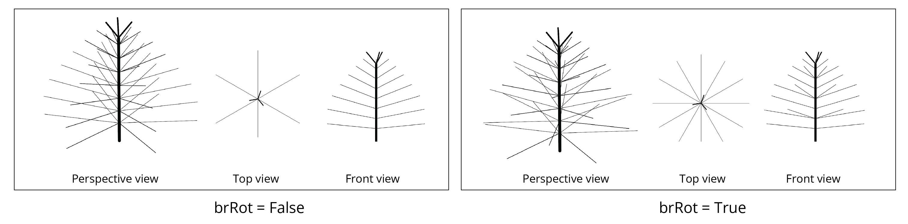 tree 3d brRot