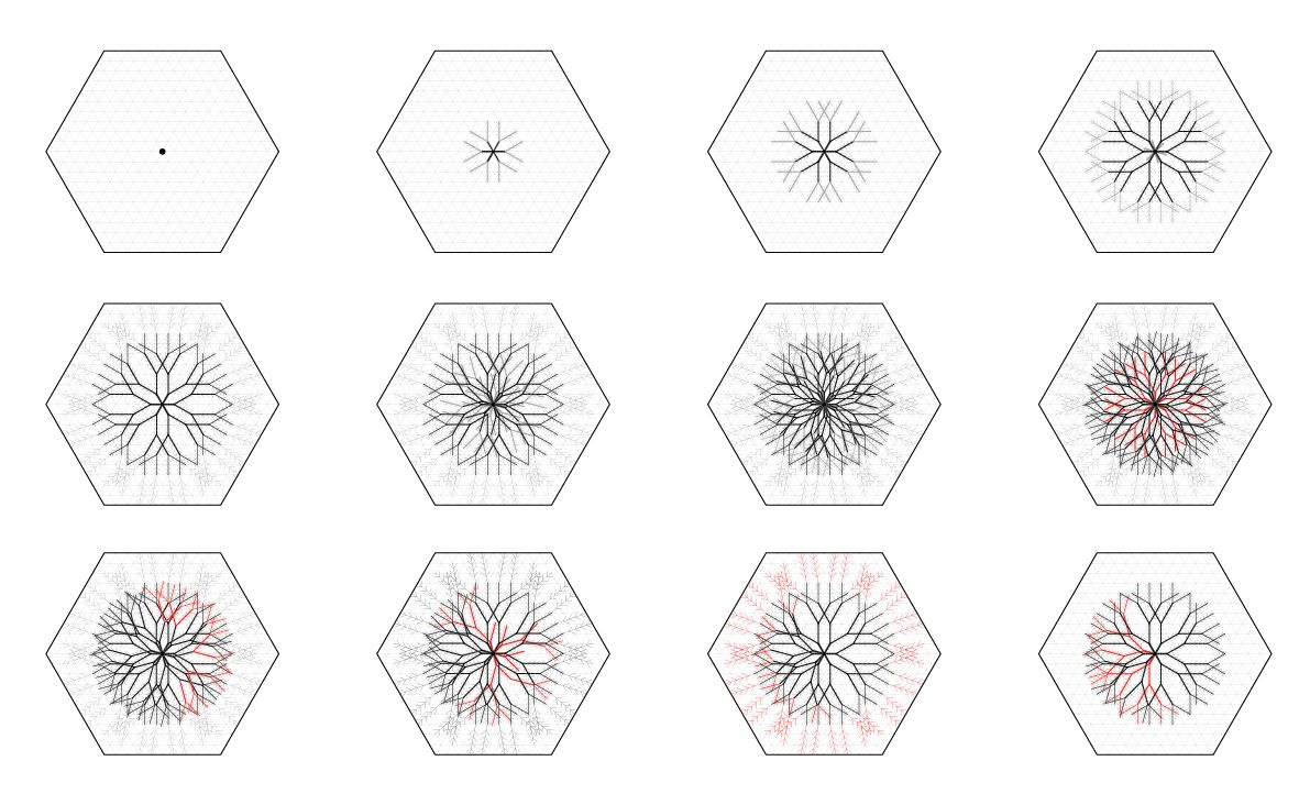 demo: plnar root phases