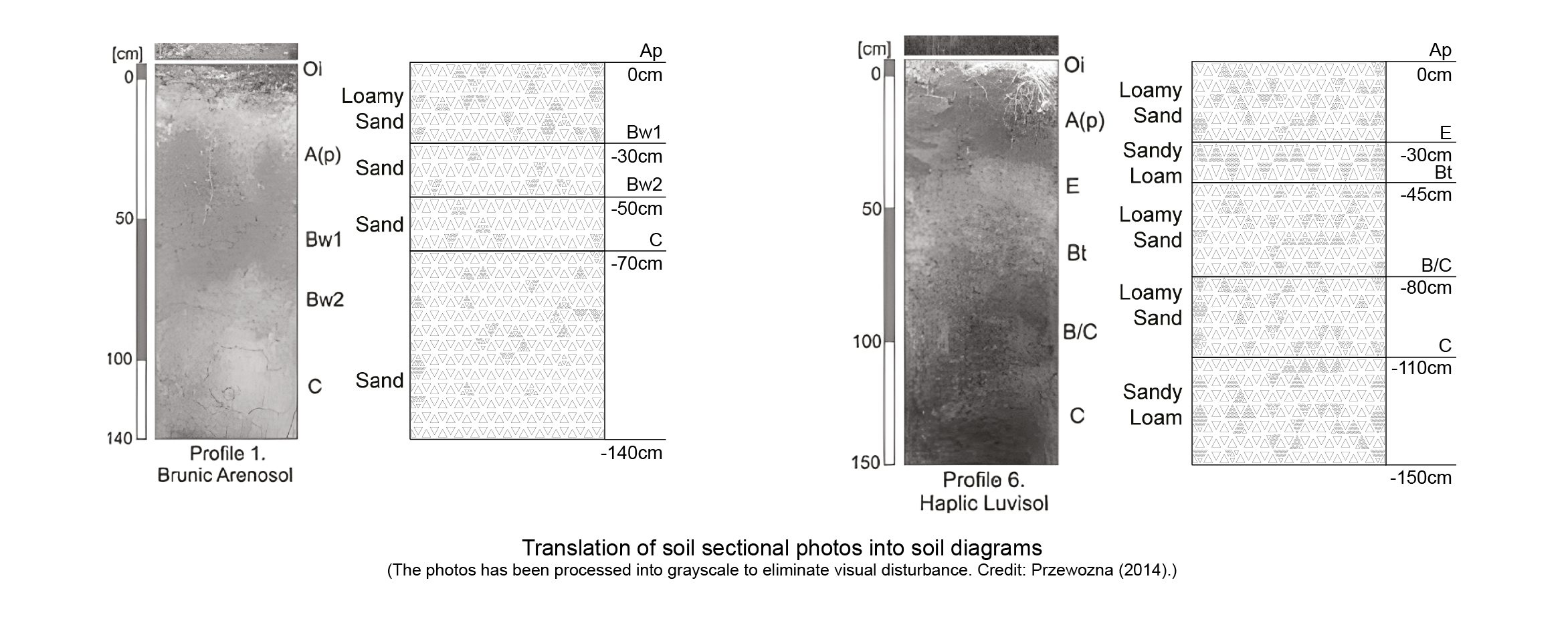 demo: soil matching