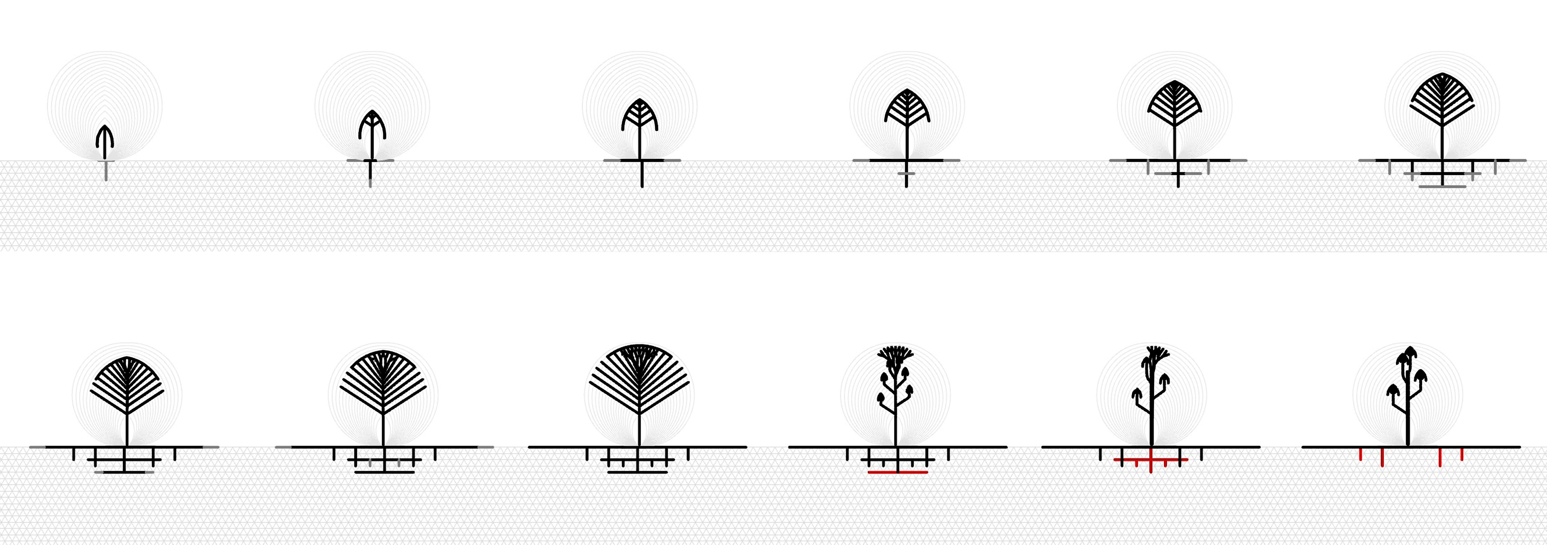 demo: tree phaseing