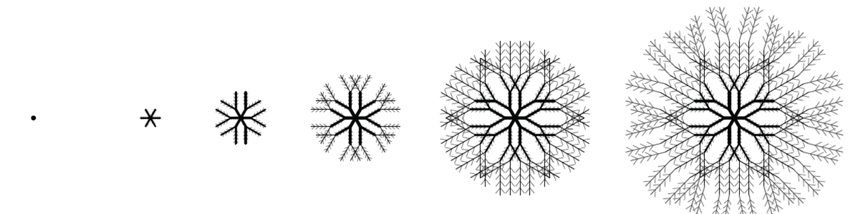 root phases